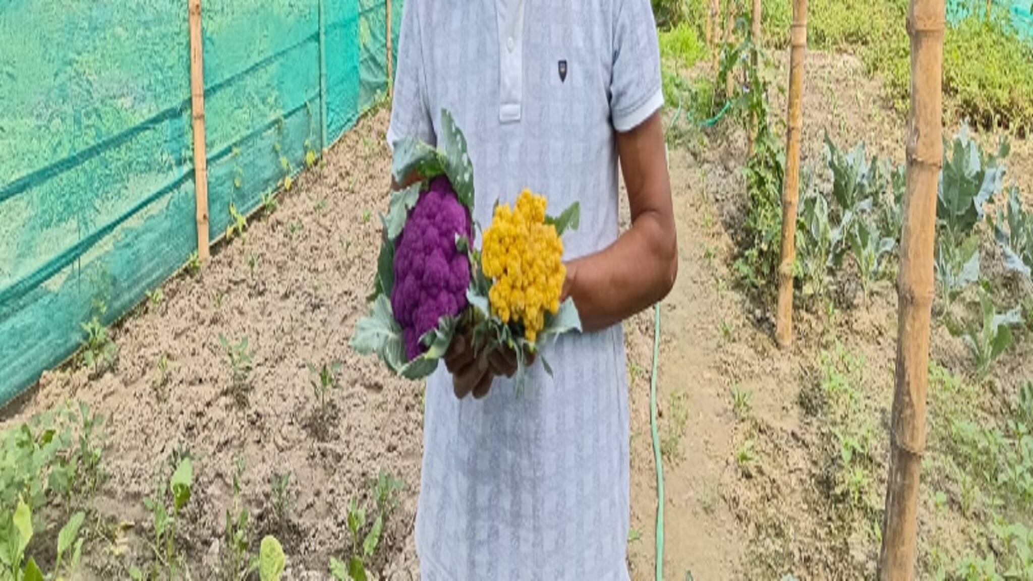 Alipurduar News: চোখ ভাল রাখতে খাবারে রাখুন বেগুনি ফুলকপি, রয়েছে আরও একাধিক গুণ