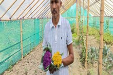চোখ ভাল রাখতে খাবারে রাখুন বেগুনি ফুলকপি, রয়েছে আরও একাধিক গুণ