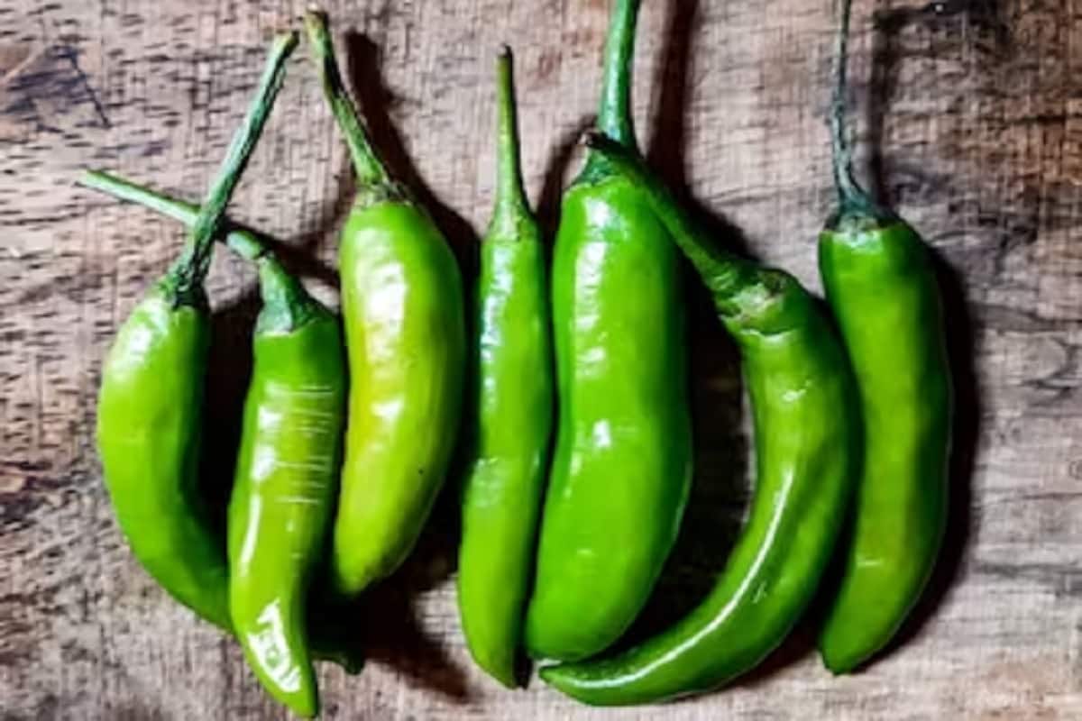 Green Chilli Price Drops মধ্যবিত্তের জন্য সুখবর! অবশেষে দাম কমল