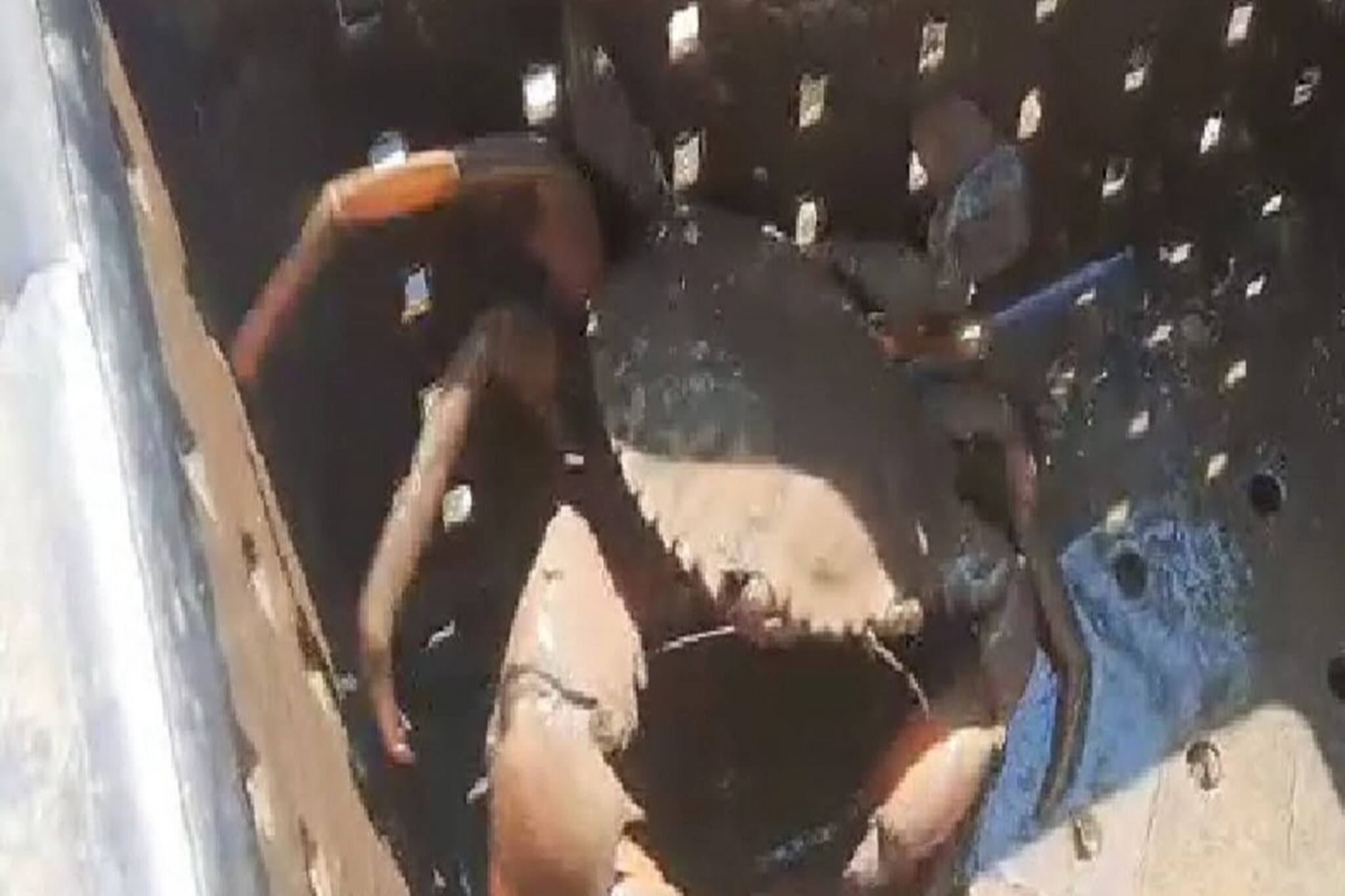 মোটা টাকা আয় করতে চান ? পথ দেখাচ্ছে বাক্স পদ্ধতিতে কাঁকড়া চাষ