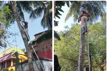 ডাব পাড়তে গাছে উঠে জ্ঞান হারাল এক ব্যক্তি! ডানকুনির ঘটনায় চাঞ্চল্য