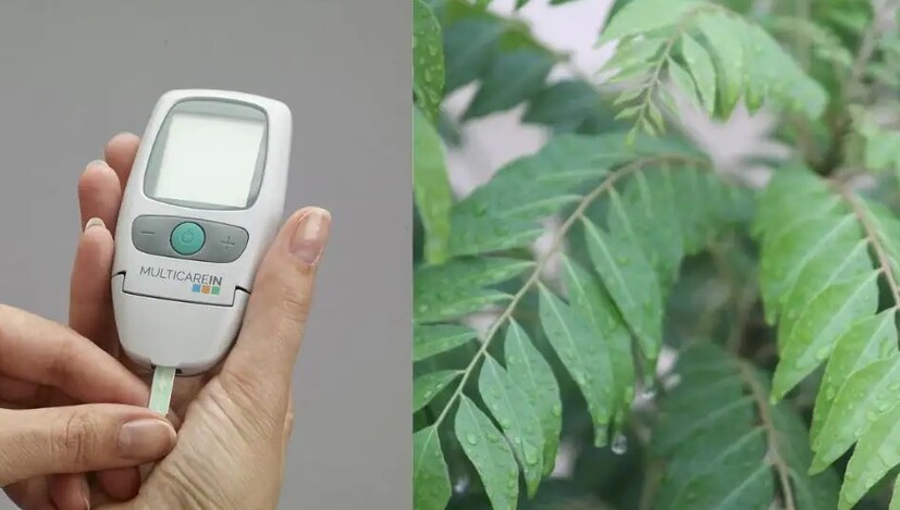  আতা গাছের পাতা: আতা অত্যন্ত সুস্বাদু একটি ফল। কিন্তু এই গাছের পাতারও যে দারুন ঔষধি গুণ রয়েছে, সেটা সম্পর্কে অনেকেই হয়তো ওয়াকিবহাল নন। এনসিবিআই-এর গবেষণার রিপোর্ট অনুযায়ী, আতা গাছের পাতায় অ্যান্টি-ডায়াবেটিক উপাদান রয়েছে। এমনকী আতা গাছের পাতায় ফটোকনস্টিট্যুয়েন্ট উপাদানও বর্তমান। ফলে এটি অগ্ন্যাশয়ে ইনসুলিনের পরিমাণ বাড়াতে সাহায্য করে। এছাড়া  হাইপোগ্লাইসেমিক ক্ষমতাসম্পন্ন এই পাতা রক্তে শর্করার পরিমাণ কমাতেও সহায়ক।