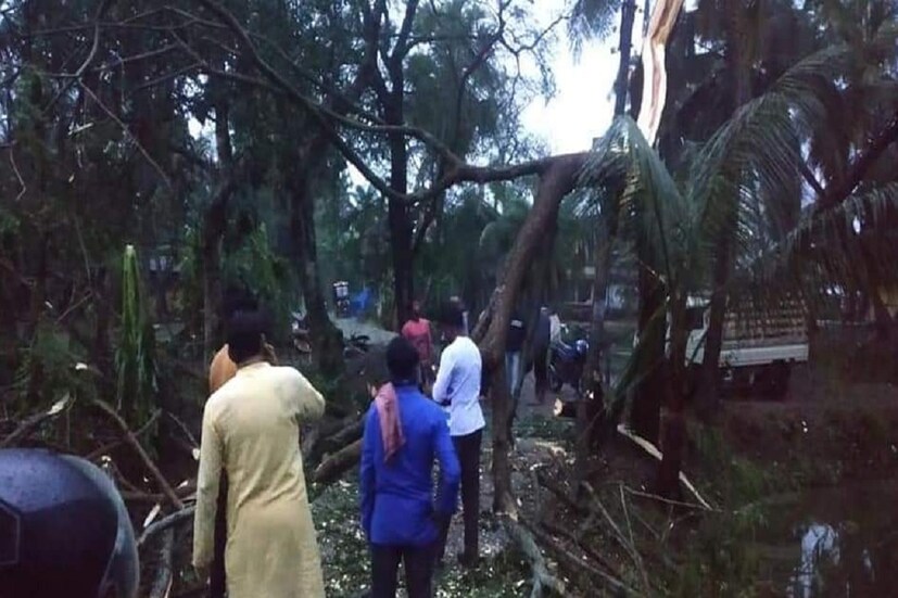 বিকালের প্রবল ঝড় ও শিলাবৃষ্টিতে বিভিন্ন এলাকার শতাধিক বড় গাছ ভেঙে পড়ে। তার সঙ্গে এলাকার একাধিক ইলেকট্রিক খুঁটি ভেঙে রাস্তায় এসে পড়ে। যার জেরে বিদ্যুত বিচ্ছিন্ন। গাছ বাইকের উপর পড়ায় বাইক  ভেঙে যায়। ঘটনার খবর পেয়ে বিদ্যুৎ দফতরের লোকেরা এসে বিপদজনক অবস্থায় থাকা বৈদ্যুতিক তার সরানোর ব্যবস্থা করে।