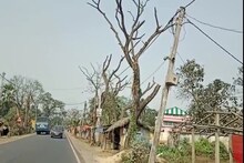 এই বুঝি ভেঙে পড়ল! শুকনো গাছের জ্বালায় ঘুম উড়েছে আরামবাগের