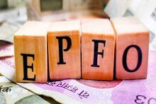 আপনার EPFO-এ কত টাকা জমছে? রইল তা জানার কয়েকটি সহজ উপায়!