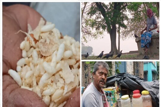 প্রতিদিন