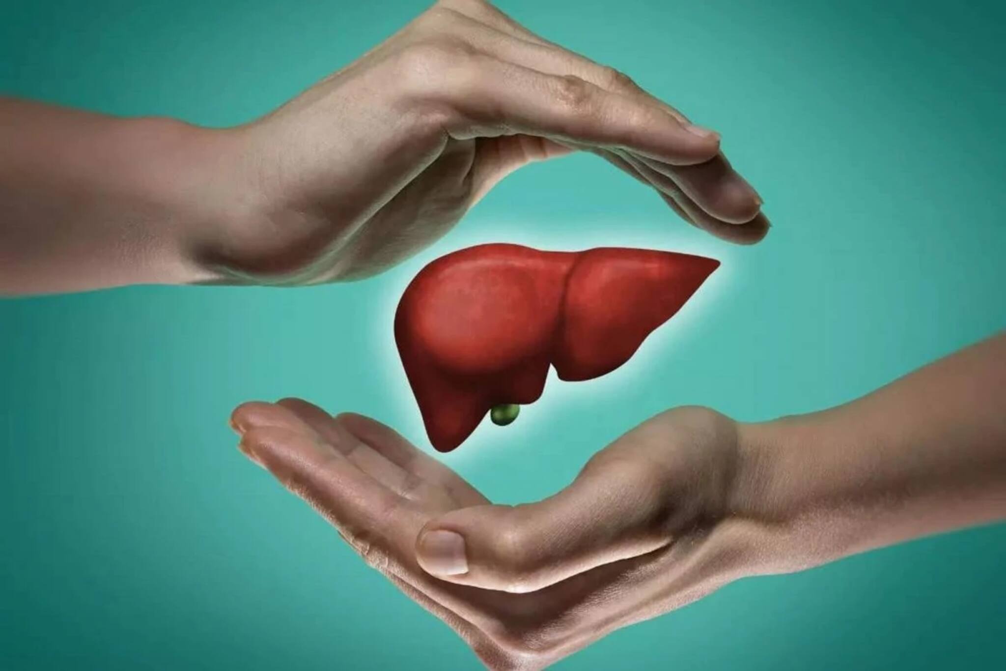 এই ৪ উপাদানেই সুস্থ থাকবে লিভার! এই নিয়ম মানলে বিদায় নেবে যকৃতের সমস্যা