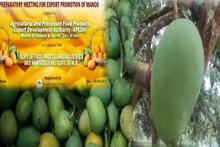 শুরু তোড়জোড়, ৭৫ টি প্রজাতির আম পাঠানো হবে বিদেশে