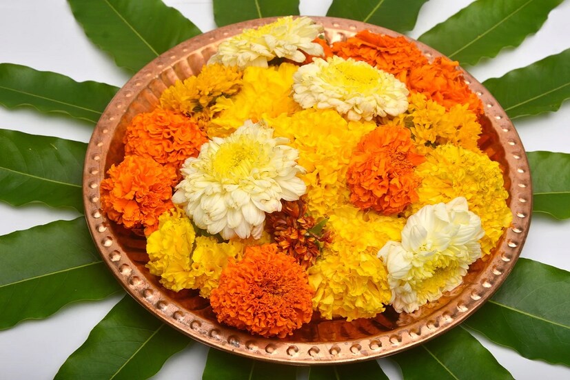 এবার একটি পাত্রে জল নিয়ে তা গ্য়াসে বসিয়ে গরম করতে হবে এবং এতে পাপড়িগুলো ঢেলে দিয়ে প্রায় ১০ থেকে ১৫ মিনিট জল ফোটাতে হবে।এবার এই জল ঠান্ডা করে ছেঁকে নিয়ে স্প্রে বোতলে ঢেলে রাখতে হবে।