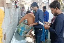 গাছ কাটতে গিয়ে ভয়ঙ্কর ঘটনা! গাছ চাপা পড়ে মৃত এক, জখম পাঁচ