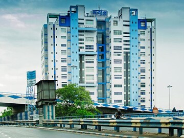 ডেঙ্গি মোকাবিলায় প্রস্তুতি বৈঠক নবান্নে