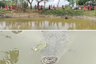 পাথরপ্রতিমায় পুকুরে কুমির