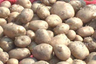আলুচাষির অস্বাভাবিক মৃত্যু