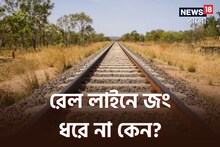 রেল লাইনে কখনও জং বা মরচে ধরে না কেন, জানুন বৈজ্ঞানিক কারণ