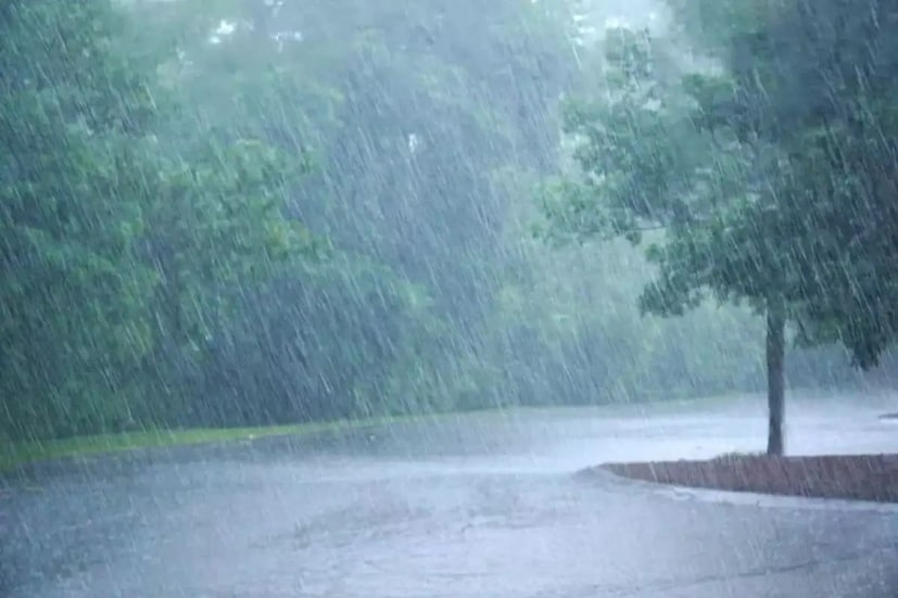 হাওয়া অফিসের পূর্বাভাস, বীরভূম মুর্শিদাবাদ, নদিয়া, পূর্ব এবং পশ্চিম বর্ধমানে কালবৈশাখীর দেখা পাওয়া যেতে পারে।