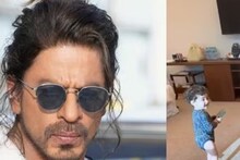 পাঠান-এর গানে নাচছে খুদে পাঠান! শাহরুখ খানকে চমকে দিল ইরফান পাঠানের ছেলে