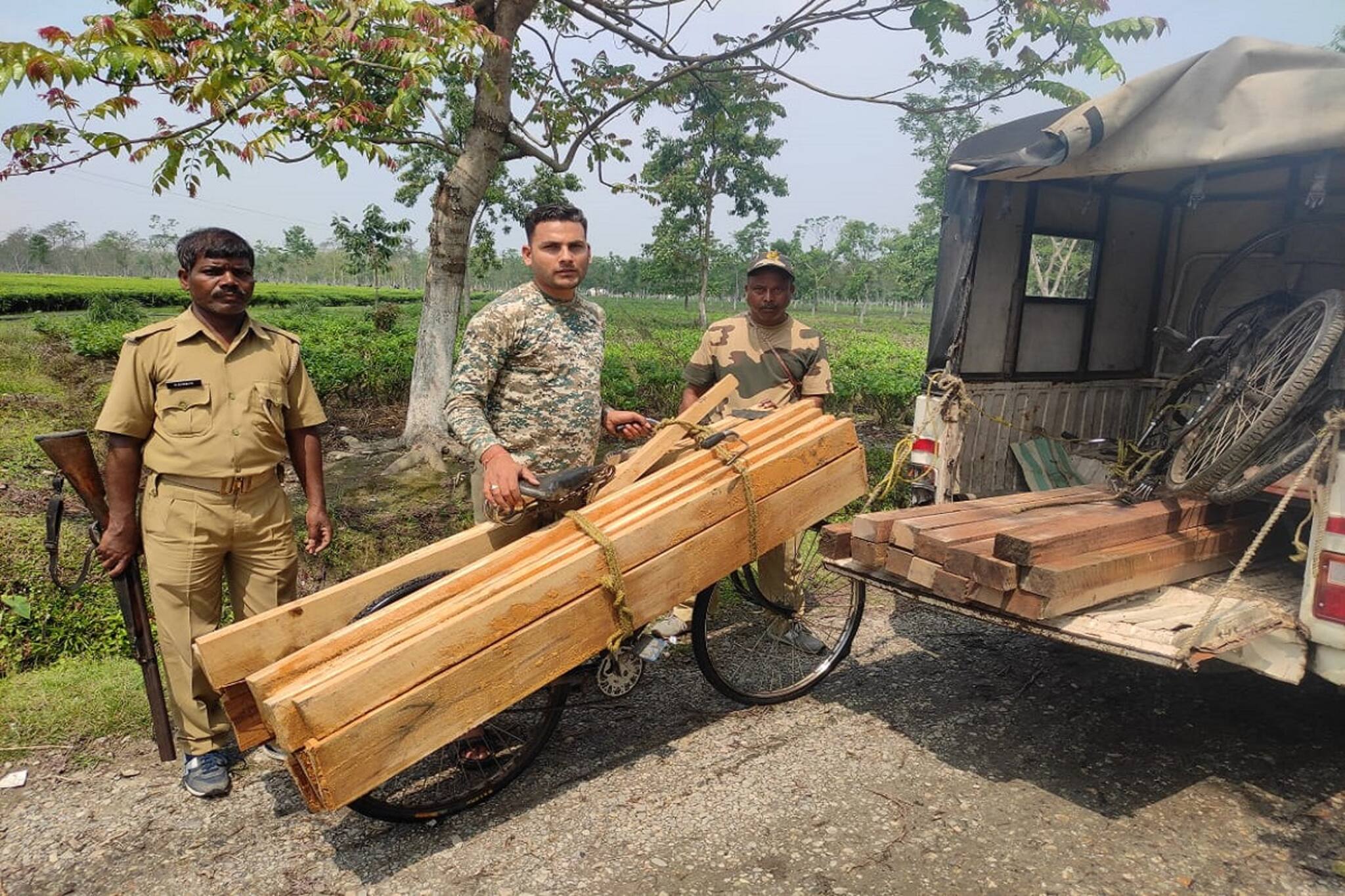 পাচারের আগে কালচিনিতে ফের উদ্ধার বিপুল পরিমাণ বেআইনি কাঠ!
