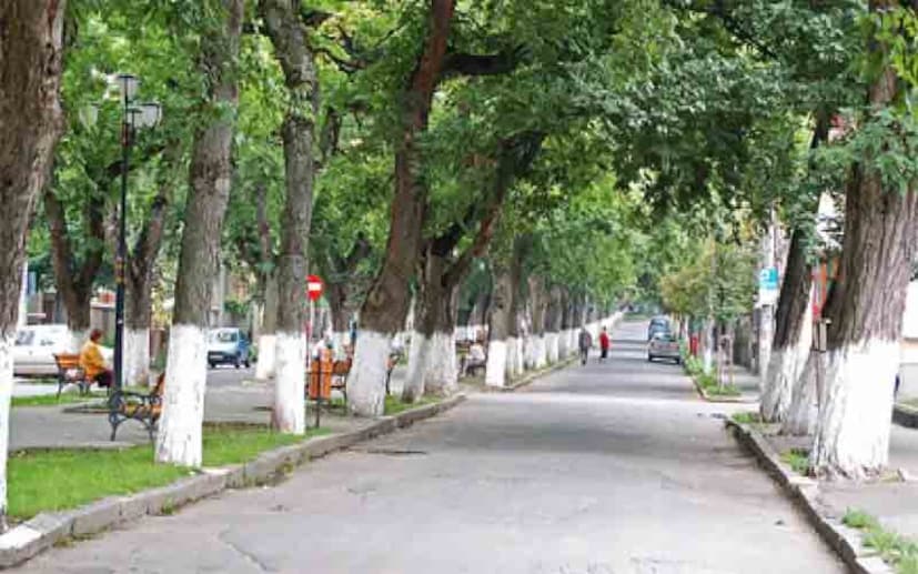 অন্যদিকে রাস্তার ধারে থাকা গাছগুলিতে সাদা রং করার পিছনে যানবাহন এবং পথ চলতি মানুষদের সুরক্ষাও জড়িয়ে রয়েছে। কারণ অনেক রাস্তা রয়েছে যেখানে স্ট্রিট লাইট থাকে না। স্ট্রিট লাইট না থাকলেও গাছের গায়ে থাকা সাদা রং অনেকটাই পথ চলতি মানুষ এবং যানবাহনদের যাতায়াতে সুবিধা হয়ে দাঁড়ায়।
