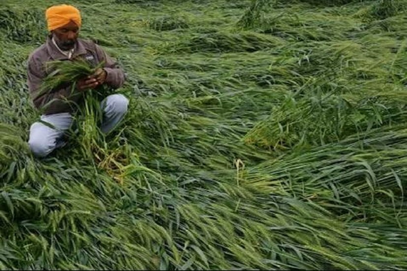 গুজরাতের অনেক জায়গায় সর্বনিম্ন তাপমাত্রা স্বাভাবিকের থেকে ৫ ডিগ্রি সেলসিয়াস বা তার বেশি রেকর্ড করা হয়েছে। যেখানে জম্মু, কাশ্মীর, লাদাখ, হিমাচল প্রদেশ, কোঙ্কন এবং গোয়াতে সর্বোচ্চ তাপমাত্রা স্বাভাবিকের থেকে ৫ ডিগ্রি সেলসিয়াস বা কিছু জায়গায় স্বাভাবিকের চেয়ে বেশি পাওয়া গেছে।