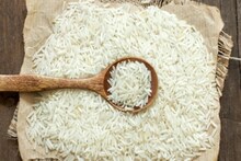 রেশনের চাল কী প্ল্যাস্টিকের? খাওয়া কী উচিত? খাদ্য দফতর যা জানালো! বিরাট চমক