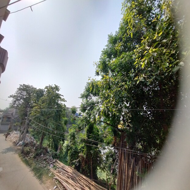 আগের সপ্তাহ থেকে শুরু হয়েছে এই অস্বাভাবিক গরমের তাণ্ডব। এক প্রকার নাভিশ্বাস উঠে যাচ্ছে সাধারণ মানুষের। দিনে ২৪ ঘণ্টার মধ্যে ভোররাত্রি থেকে সকাল  সাতটা পর্যন্ত তাপমাত্রা থাকছে সামান্য কম। তারপর বেলা নটা হতেই দ্রুত করে বাড়ছে তাপমাত্রার পারদ। বাঁধ মানছে না তাপমাত্রা। 