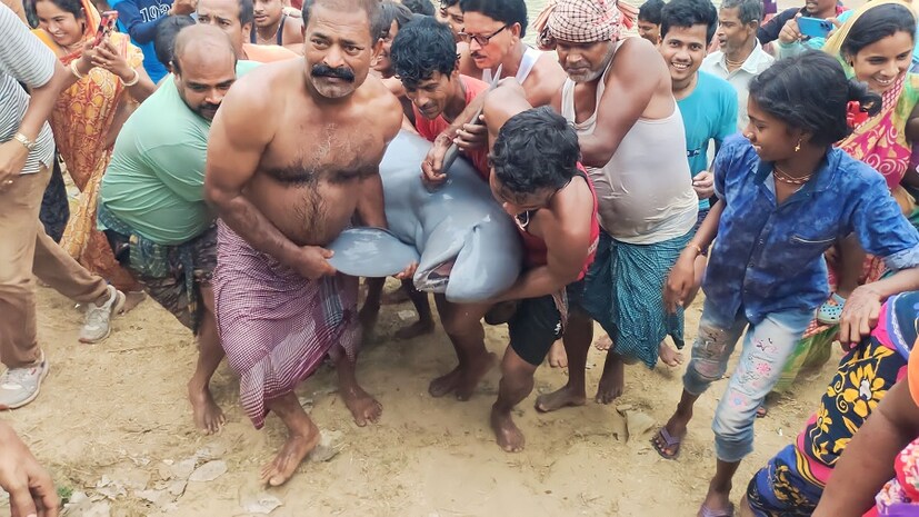 খবর পৌঁছে যায় প্রশাসনের কাছে, অবশেষে তিন দিন পর প্রশাসনের উদ্যোগে, ডলফিন কে জাল দিয়ে ধরে রুপনারায়ন নদীতে ছেড়ে দেয়ার ব্যবস্থা করল বনদফতর ও পুলিশ প্রশাসনের আধিকারিকরা।( লেখা ও ছবি: সুকান্ত চক্রবর্তী)