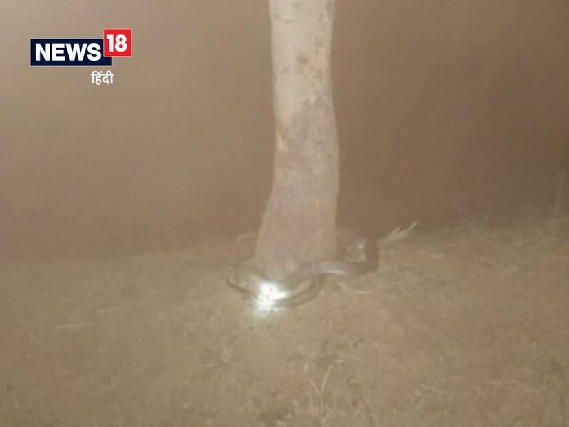 কিন্তু বিজ্ঞানীরা এই দাবি খারিজ করেছেন ৷ ছবিতে দাবি করা হচ্ছে সাপের মণির ছবি তুলেছেন সেই ছবিই ভাইরাল হয়েছে সোশ্যাল মিডিয়ায় ৷