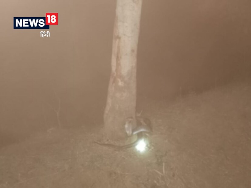 বেশ কিছুক্ষণ দেখার পরে মোবাইলে তুলেছেন ছবি সেই ছবিই ছড়িয়ে পড়েছে সোশ্যাল মিডিয়ায় ৷ 