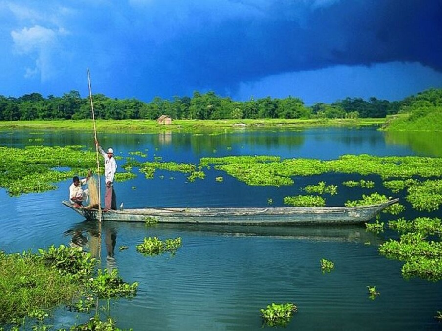  অসমের মাজুলি দ্বীপ৷ এই অনন্য সুন্দর দ্বীপই এখন অস্তিত্ব সঙ্কটের সম্মুখীন। ১২০০ বর্গ কিলোমিটার জুড়ে বিস্তৃত এই দ্বীপ। এক সময় এখানে ২৬০ প্রজাতির পাখি পাওয়া যেত। কিন্তু এখন ধীরে ধীরে ভূমিক্ষয়ের ফরে এ দ্বীপ ধীরে ধীরে জলের নীচে তলিয়ে যাচ্ছে। আগামী পনের-বিশ বছরের মধ্যে পৃথিবী থেকে বিলীন হয়ে যাবে মাজুলি দ্বীপ।