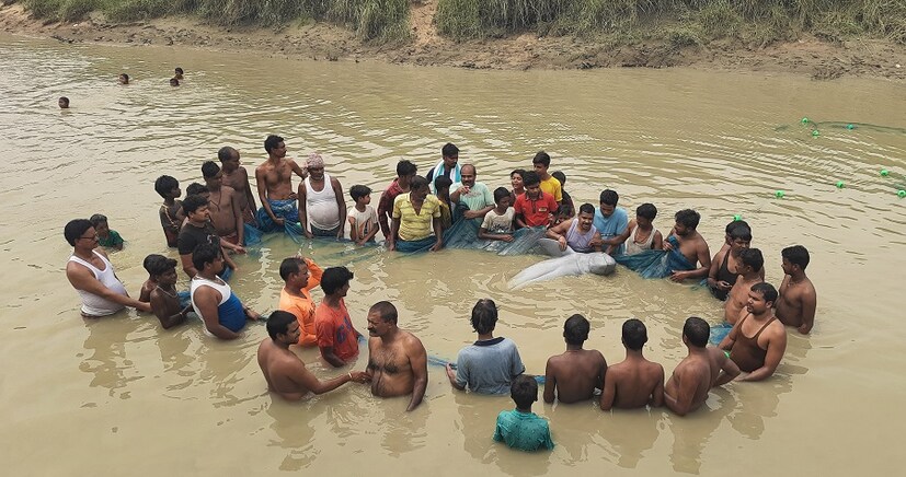 জানা যায় পশ্চিম মেদিনীপুর জেলার দাসপুর ১ নম্বর ব্লকের সীতাকুণ্ড গ্রামে শিলাবতী নদীতে গ্রামের বাসিন্দারা দেখতে পায় একটি ডলফিন,খবর ছড়িয়ে পড়তে ডলফিন দেখতে, ভিড় জমায় এলাকার মানুষজন। ( লেখা ও ছবি: সুকান্ত চক্রবর্তী)