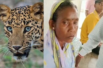 লেপার্ডের