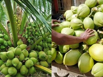 গরম