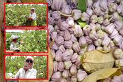 রাত পোহালেই নীলষষ্ঠী,সন্তানের মঙ্গল কামনায় ব্রত,লাগবে আকন্দ ফুল,কিন্তু জানেন কী