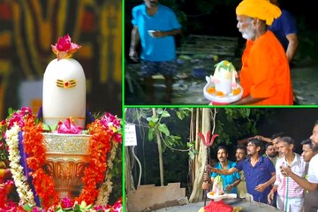 শ্বেত
