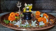 মাজদিয়ার বুড়ো শিব! ৩০০ বছরের পুরোনো! গাজনে শিবের অলৌকিক কাহিনি! জানুন
