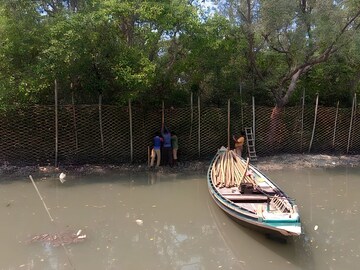 বাঘ