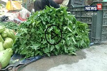 ডিপ্রেশন কাটায়, যৌবন ধরে রাখে! পাট শাক খান নিয়ম মেনে! উপকার জানলে অবাক হবেন