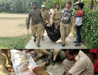 বনাঞ্চল থেকে লোকালয়ে চলে আসে একটি বার্কিং প্রজাতির হরিণ 