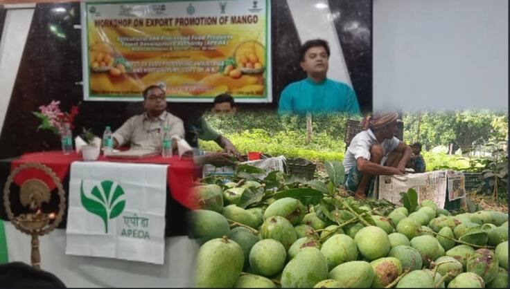 আম নিয়ে বৈঠক