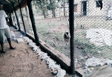 তীব্র