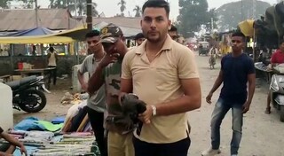 পাখি উদ্ধারের পর