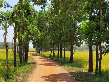 গরমের