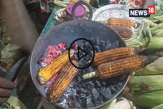 ভুট্টা