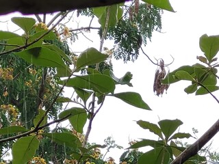 ঝাঁপিয়ে নামল বৃষ্টি