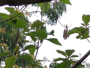 ঝাঁপিয়ে নামল বৃষ্টি ঝাঁপিয়ে নামল বৃষ্টি