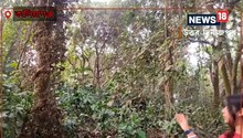 ঐতিহাসিক নিদর্শন কালিয়াগঞ্জের রাজভিটা! অবহেলায় শেষ হতে বসেছে এই রাজ ঢিপি
