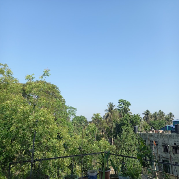 উত্তর-পশ্চিম ভারতে আগামী ২৪ ঘণ্টায় তাপমাত্রা বাড়বে দু থেকে চার ডিগ্রি সেলসিয়াস। পূর্ব ভারতের রাজ্যগুলিতে বাংলা,বিহার, ওড়িশা, ঝাড়খন্ডে তাপমাত্রা বাড়বে। আগামী তিন দিনের দুই থেকে চার ডিগ্রি তাপমাত্রা বাড়তে পারে। পশ্চিম ও মধ্য ভারতের রাজ্যগুলিতে আগামী তিন দিনে দুই থেকে চার ডিগ্রি তাপমাত্রা বাড়বে (তথ্য-- বিশ্বজিৎ সাহা)