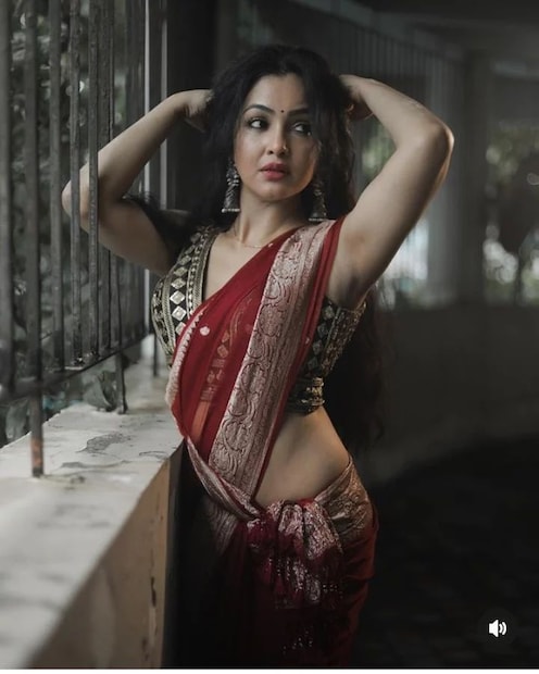 এক সাক্ষাৎকারে তিনি বলেন যে, “আমি আর পীযূষ এই সম্পর্কটাকে বাঁচানোর অনেক চেষ্টা করেছিলাম। কিন্তু পারলাম না। আমরা বিগত ১ বছর ধরে এক ছাদের তলায় থাকছি না। আসলে যে কোনও বিয়ে বা সম্পর্কে শ্রদ্ধা, ভালোবাসা, বিশ্বাস, বন্ধুত্ব থাকাটা অত্যন্ত জরুরি। প্রতিটি উপায়ে সম্ভাব্য সব কিছু চেষ্টা করার পরেই আমরা একে অপরের থেকে আলাদা হওয়ার এই সিদ্ধান্ত নিয়েছি। (Photo: Instagram)” 