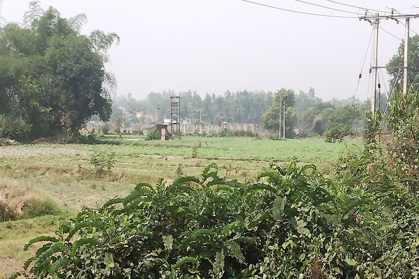 পশ্চিম থেকে পূর্বে ছয় কিলোমিটার প্রতি ঘন্টা বেগে বইবে বাতাস এবং তার সাথে সূর্যের অতিবেগুনি রশ্মির পরিমাণ মাঝারি থেকে কিছুটা কম থাকবে। প্রায় দুই সপ্তাহ পার হয়েছে কিন্তু এখনো দেখা মেলেনি উল্লেখযোগ্য বৃষ্টিপাতের। প্রচন্ড তাপপ্রবাহ এবং সঙ্গে সূর্যের তাণ্ডব অব্যাহত। বৃষ্টিপাত কখন হবে সেই উত্তর একমাত্র সময় দিতে পারে। Input-  Nilanjan Banerjee