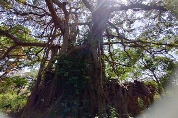 দক্ষিণবঙ্গের জ্বালা কমাতে ভয়ানক ঝড়বৃষ্টি, তাপপ্রবাহের লেটেস্ট আপডেট